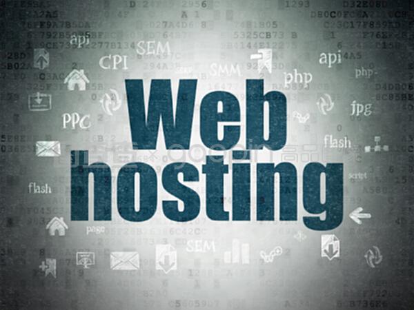 數(shù)字?jǐn)?shù)據(jù)紙背景下的網(wǎng)絡(luò)開發(fā)與網(wǎng)絡(luò)托管概念解析